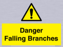 danger-falling-branches~